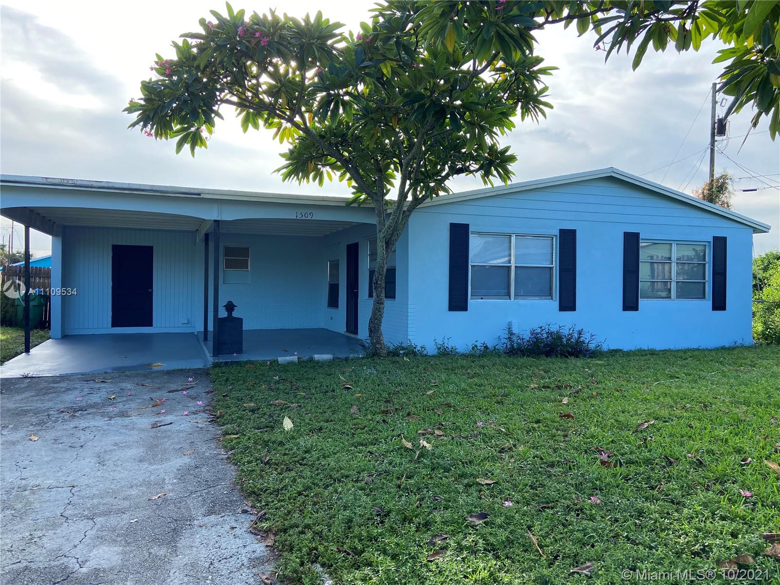a view of a backyard with a large tree