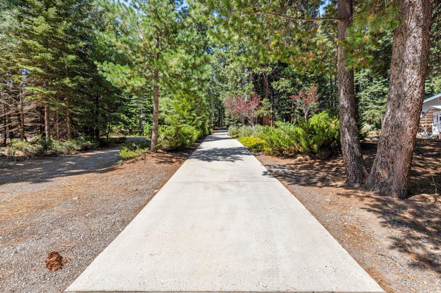 1131 Lake Ridge Road Lake Almanor, CA 96137 - Photo 2 of 55 a view of an outdoor space