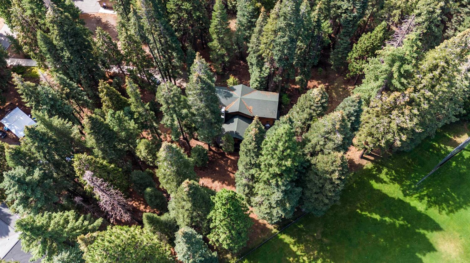 1131 Lake Ridge Road Lake Almanor, CA 96137 - Photo 50 of 55 a view of a house with a tree