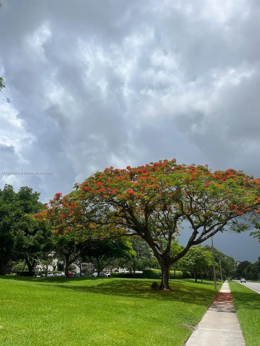 3507 Oaks Way, Unit 804 Pompano Beach, FL 33069 - Photo 23 of 26
