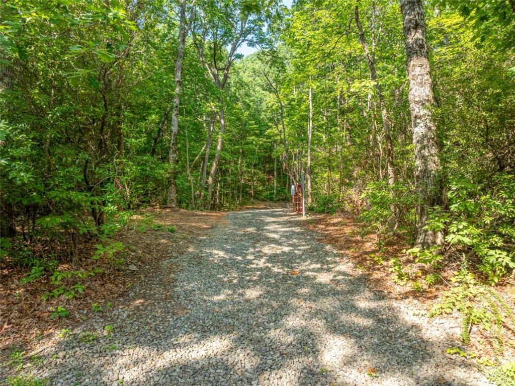 1298 Cold Stream Trail Jasper, GA 30143 - Photo 6 of 57