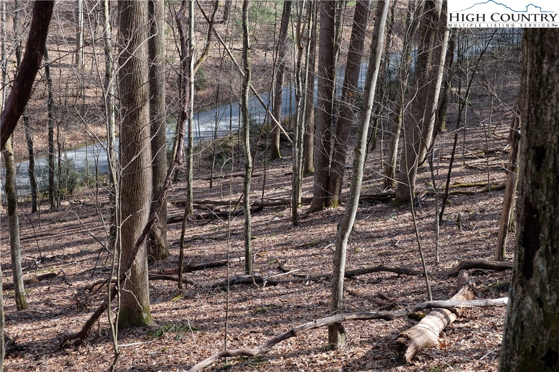 Lot 6 Twin Rivers Drive Boone, NC 28607 - Photo 11 of 20 a backyard of a house with lots of green space