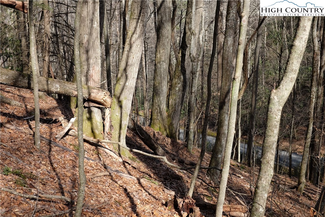 Lot 6 Twin Rivers Drive Boone, NC 28607 - Photo 12 of 20 a view of outdoor space