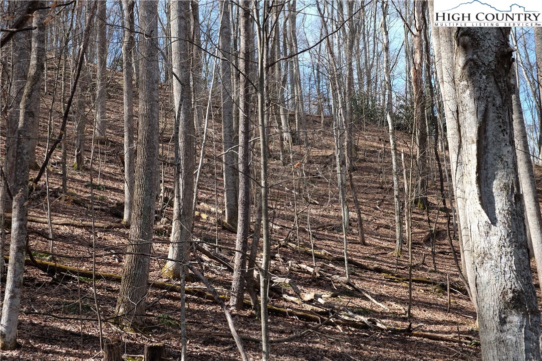 Lot 6 Twin Rivers Drive Boone, NC 28607 - Photo 15 of 20 a bathroom with a shower