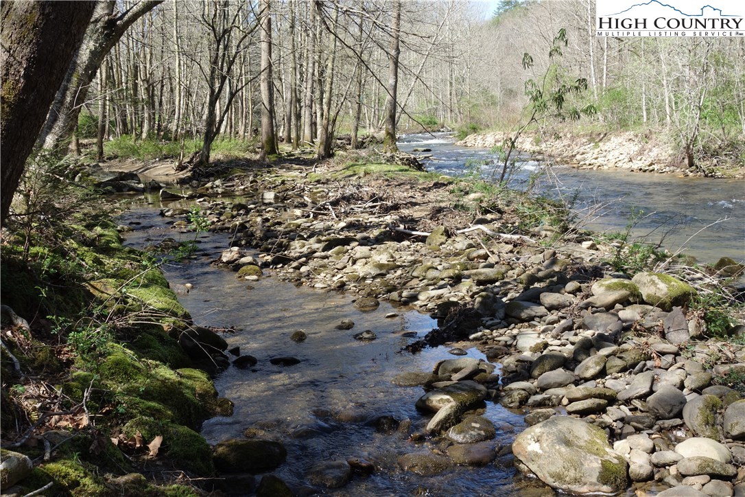 Lot 6 Twin Rivers Drive Boone, NC 28607 - Photo 18 of 20 a view of a yard with a tree