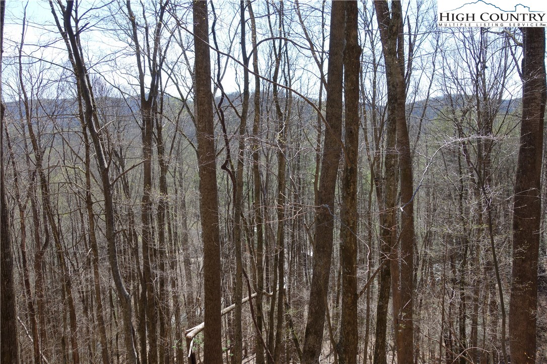 Lot 6 Twin Rivers Drive Boone, NC 28607 - Photo 3 of 20 a view of forest
