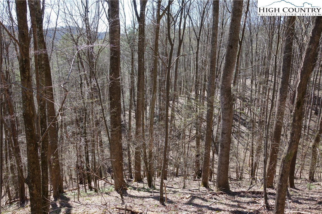 Lot 6 Twin Rivers Drive Boone, NC 28607 - Photo 4 of 20 a view of outdoor space with lots of trees