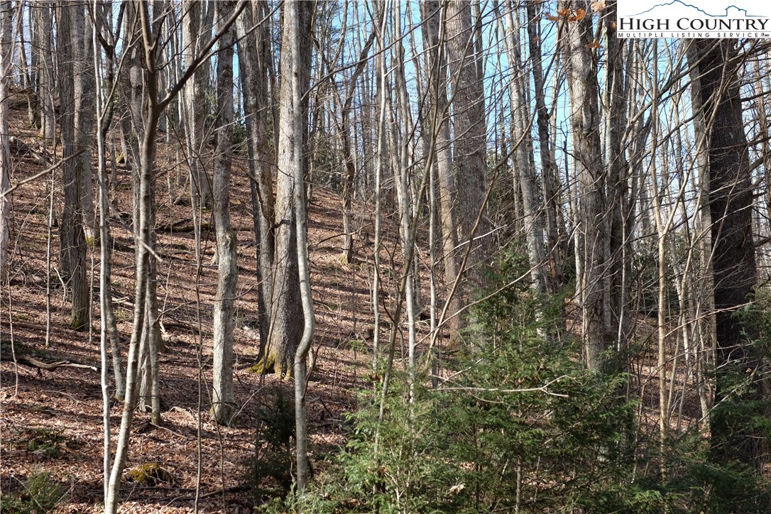 Lot 6 Twin Rivers Drive Boone, NC 28607 - Photo 7 of 20