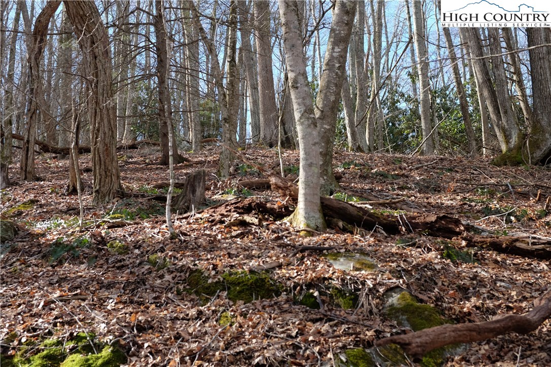 Lot 6 Twin Rivers Drive Boone, NC 28607 - Photo 8 of 20 a backyard of a house with lots of green space