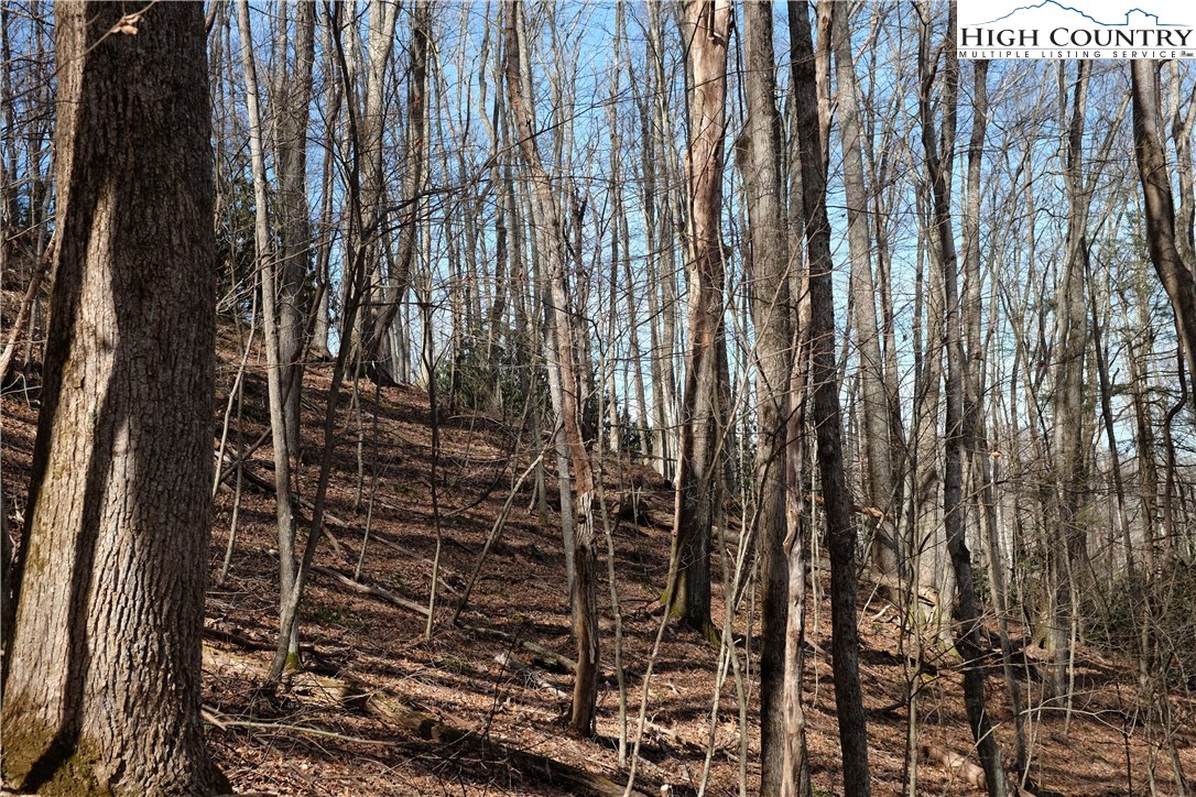 Lot 6 Twin Rivers Drive Boone, NC 28607 - Photo 9 of 20