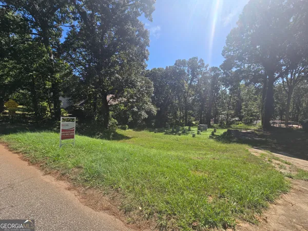 a view of a park with large trees