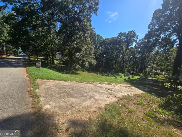 a view of backyard with green space