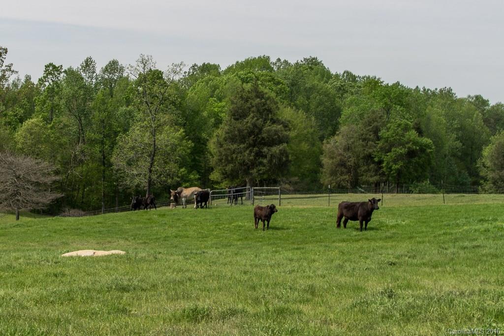 414 Burton Road Advance, NC 27006 - Photo 17 of 23 Gallery Image 17