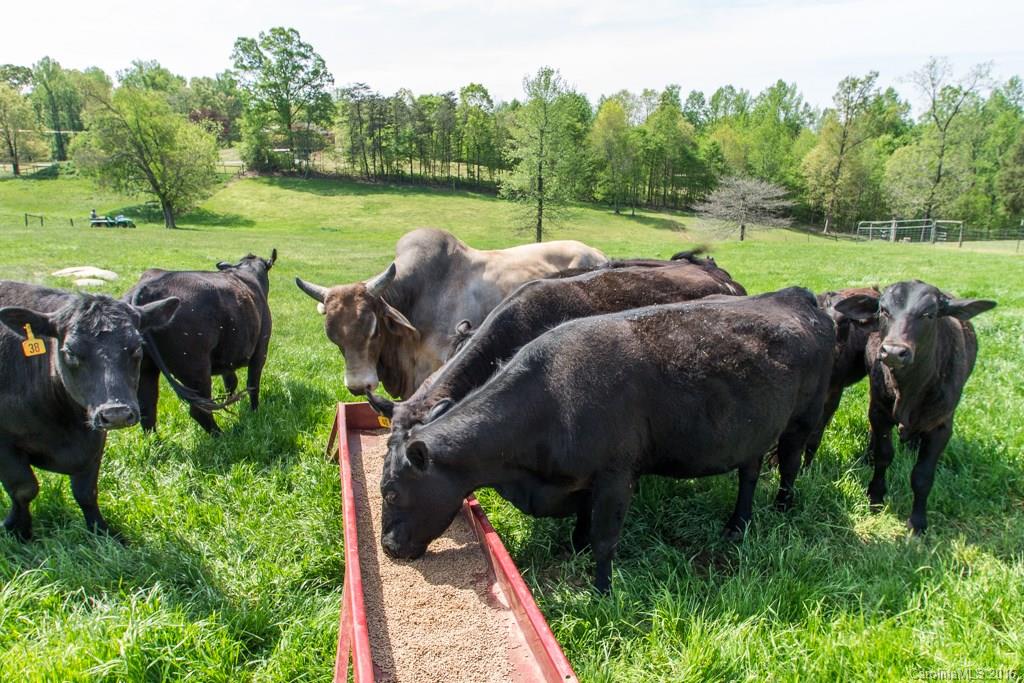 414 Burton Road Advance, NC 27006 - Photo 23 of 23 Gallery Image 23