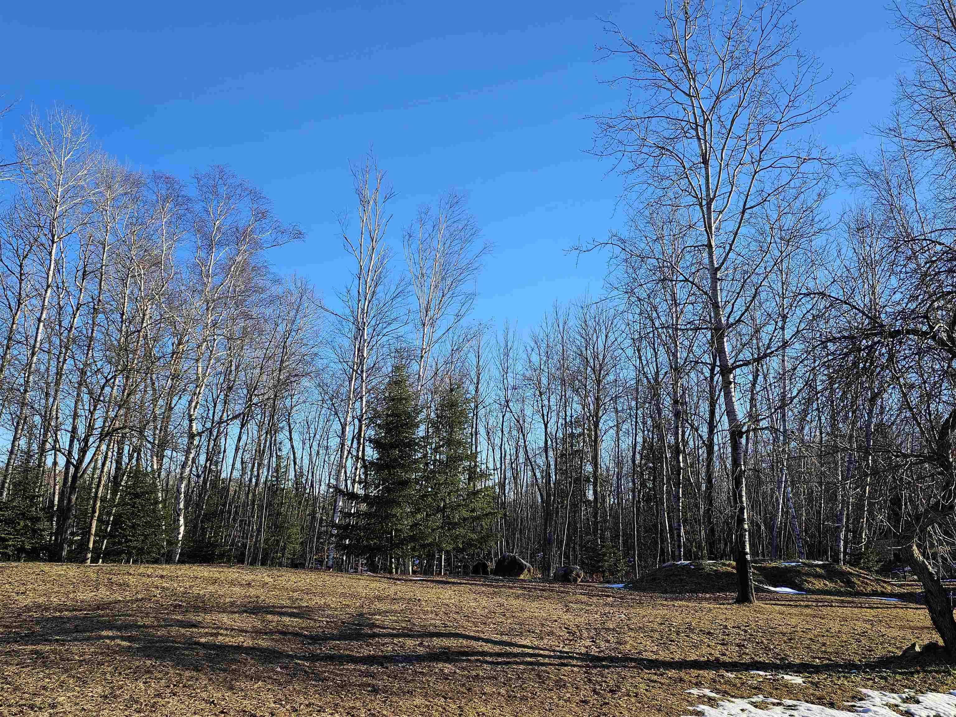 5 5 Mile Road Hale, MI 48739 - Photo 4 of 8