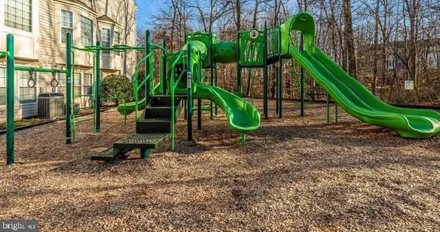 a view of a bunch of flowers and fruits