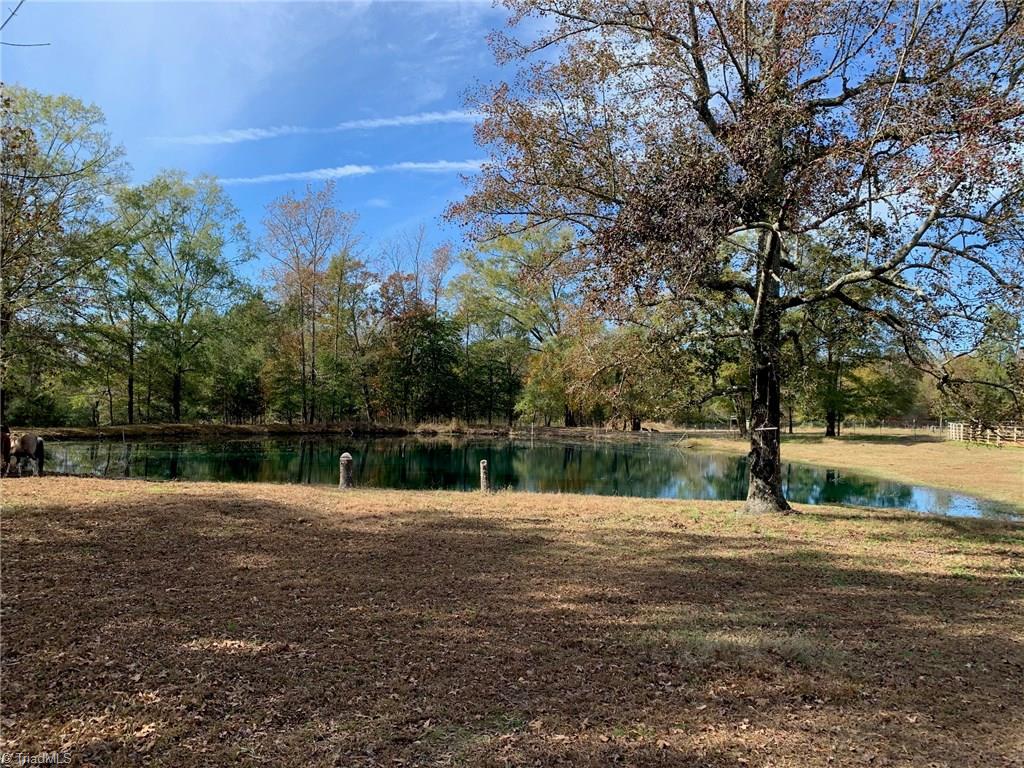 7053 Bennett Road Seagrove, NC 27341 - Photo 8 of 14