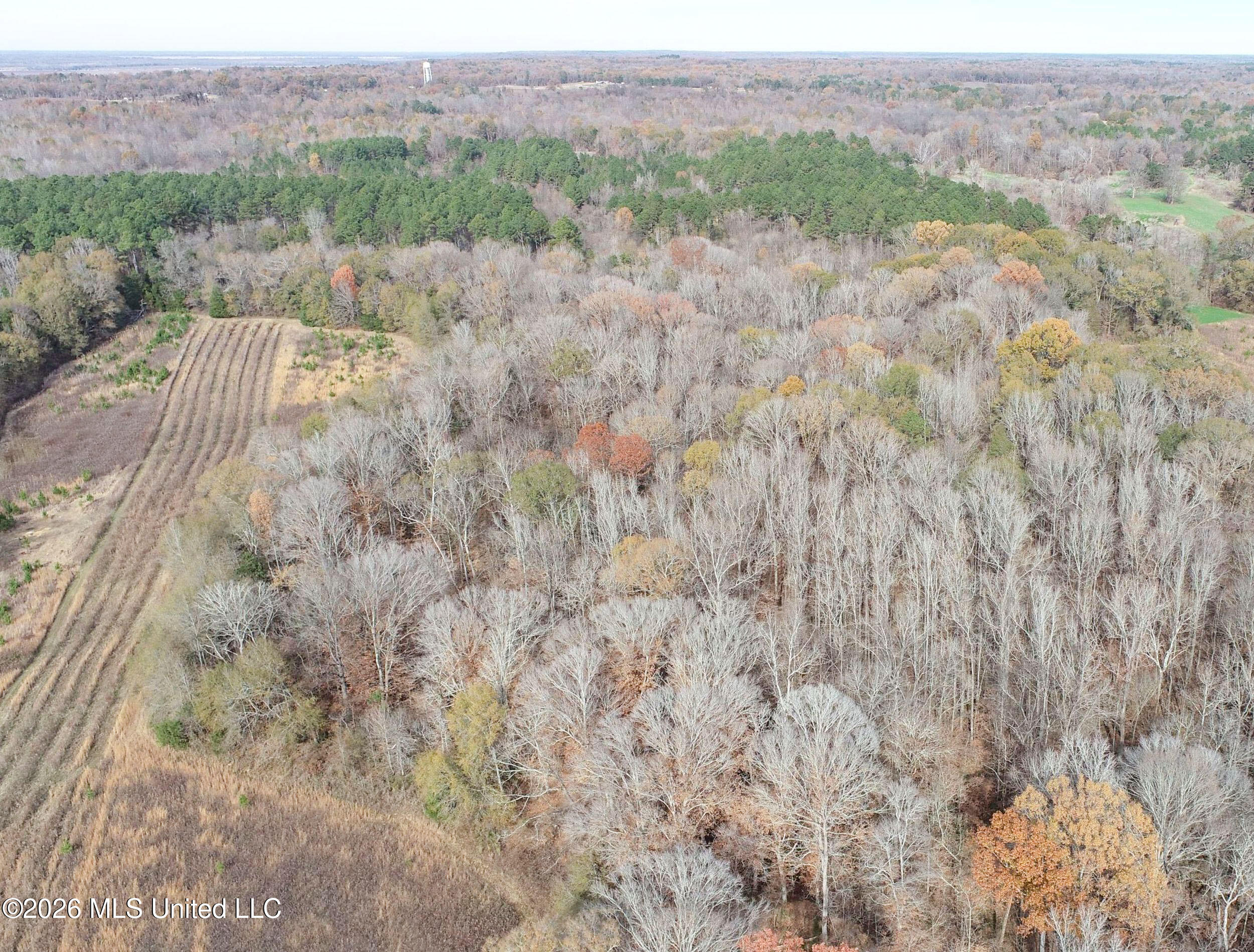 Chinqupin Road Lexington, MS 39095 - Photo 30 of 210 5chqpn17