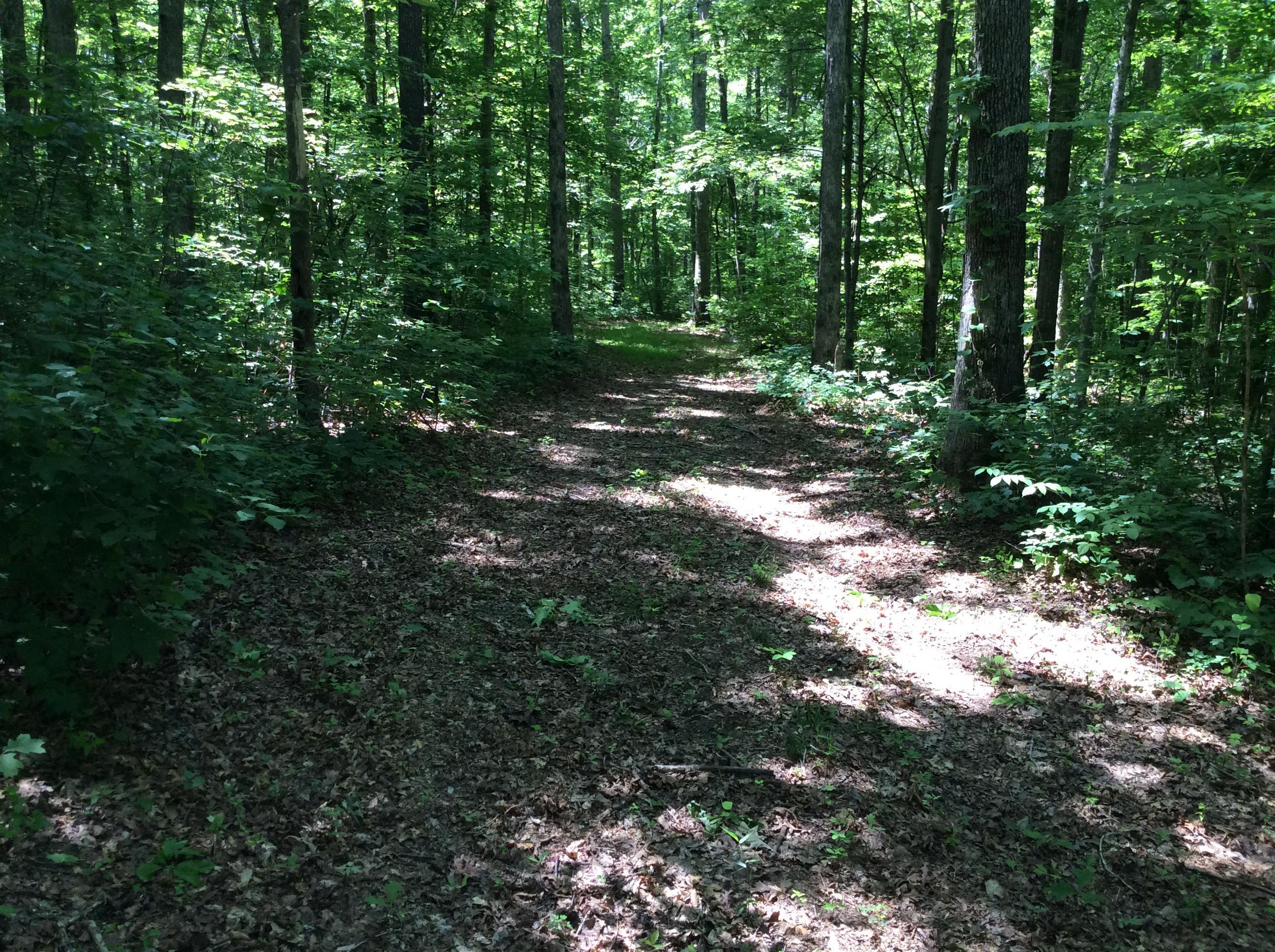 268 Warren Road Science Hill, KY 42553 - Photo 19 of 26 Trail 10