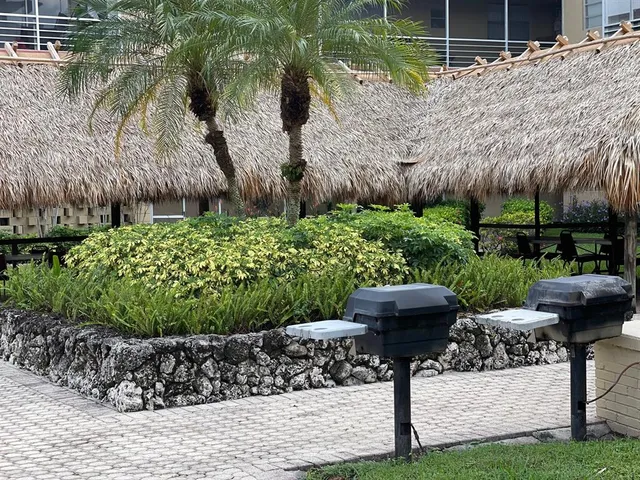 a view of a yard with potted plants and a large tree