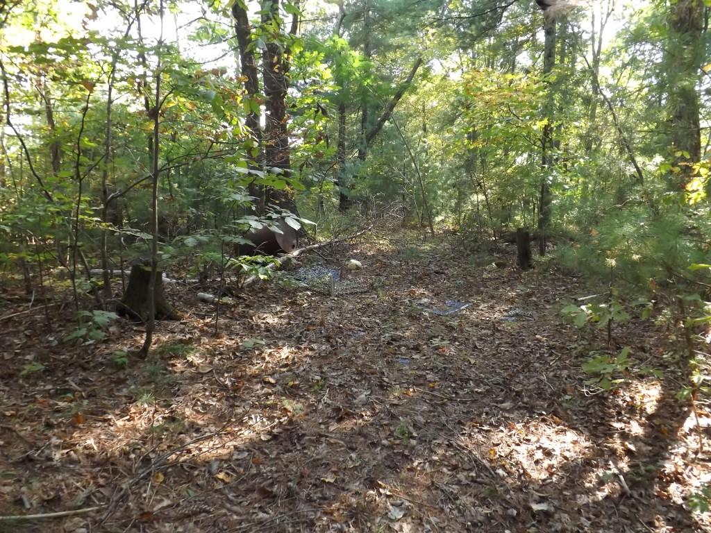 10-acres Shut In Gap Road Spring City, TN 37381 - Photo 11 of 15 11 (Medium)