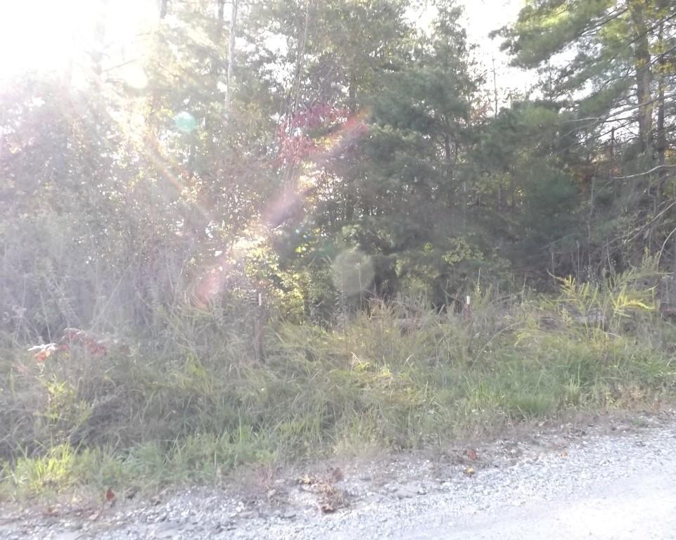 10-acres Shut In Gap Road Spring City, TN 37381 - Photo 14 of 15 14 (Medium)
