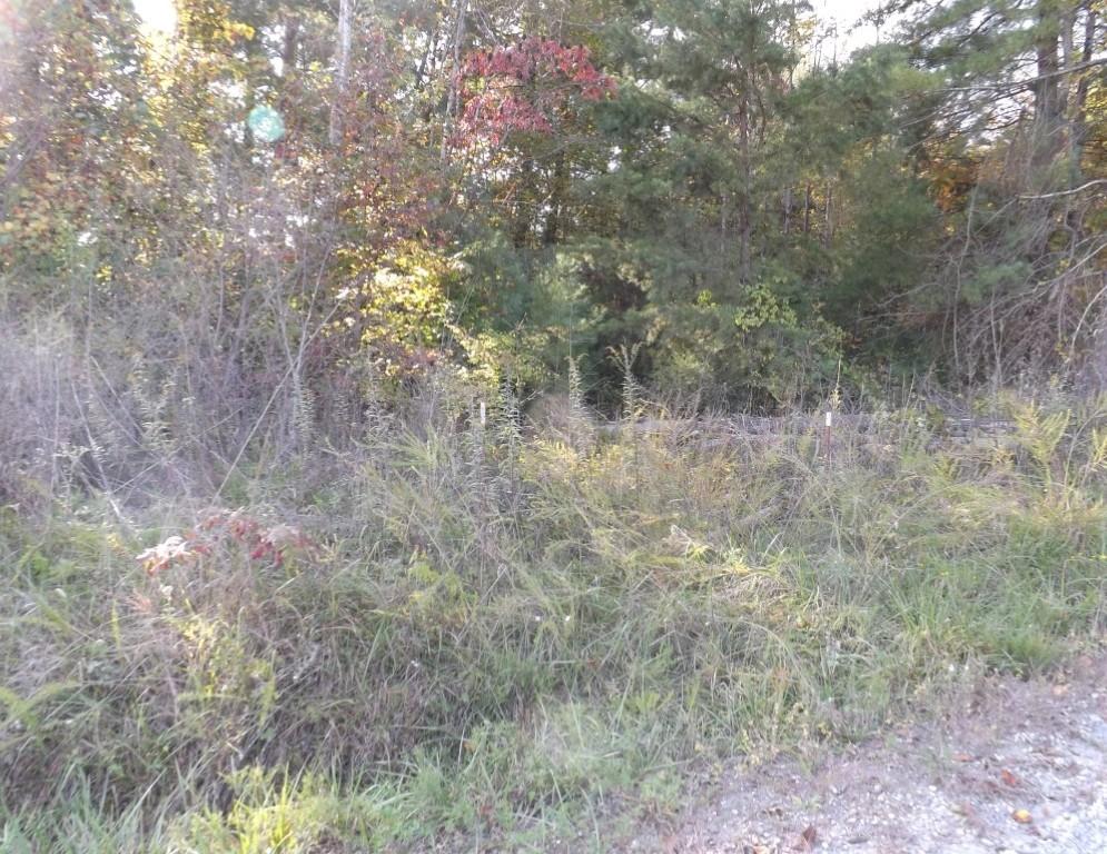 10-acres Shut In Gap Road Spring City, TN 37381 - Photo 15 of 15 15 (Medium)