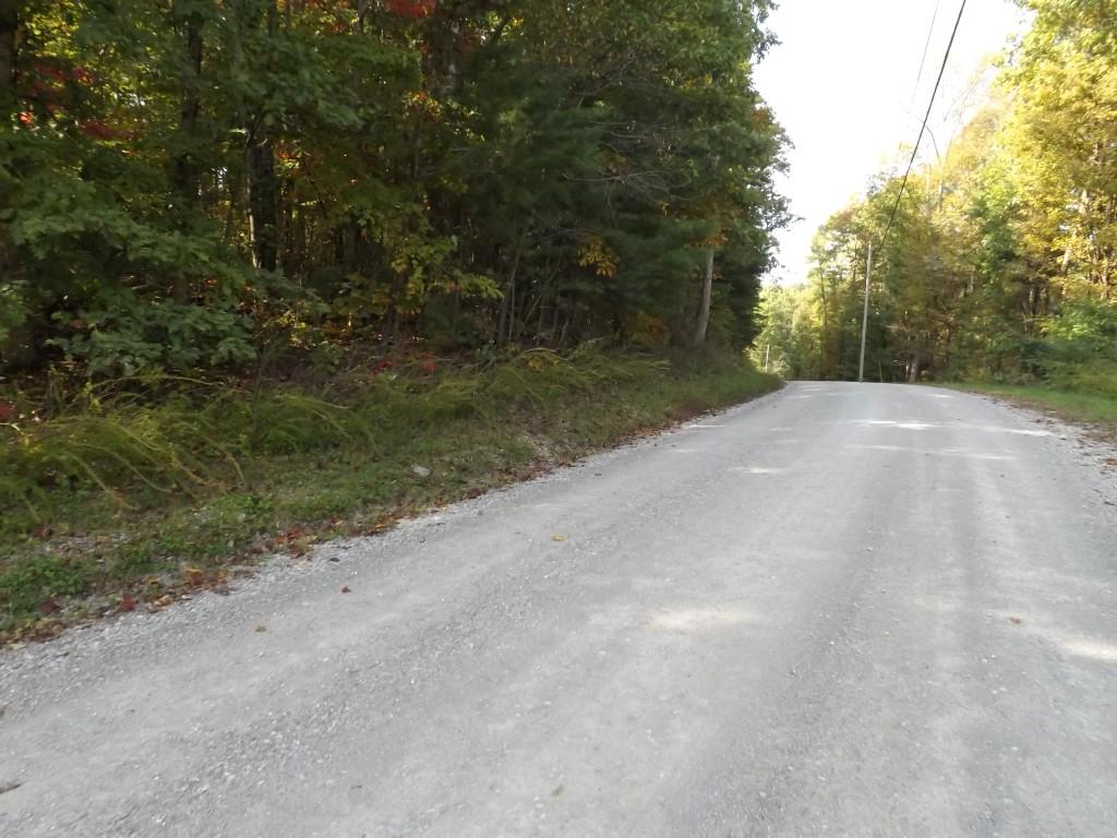 10-acres Shut In Gap Road Spring City, TN 37381 - Photo 3 of 15 3 (Medium)