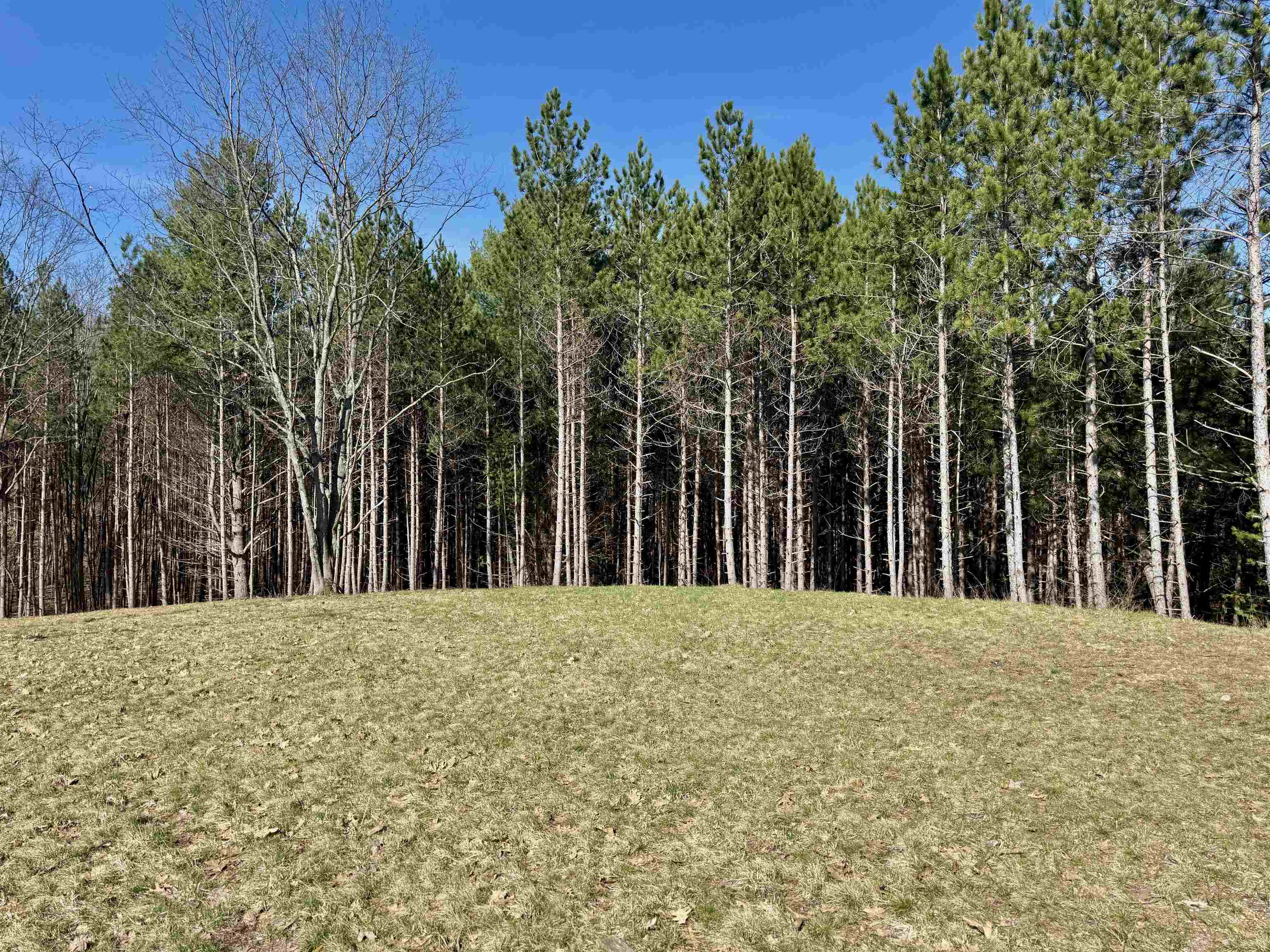 3041 Dockery Road East, Unit LOT: 2 Williamsburg, MI 49690 - Photo 8 of 18