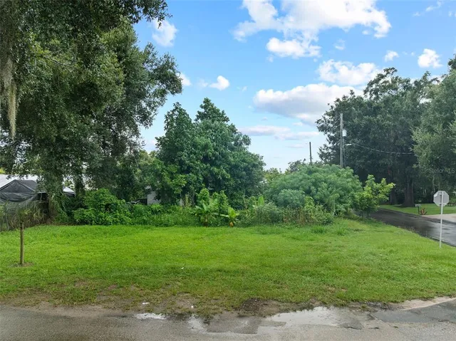 a view of a garden with a tree