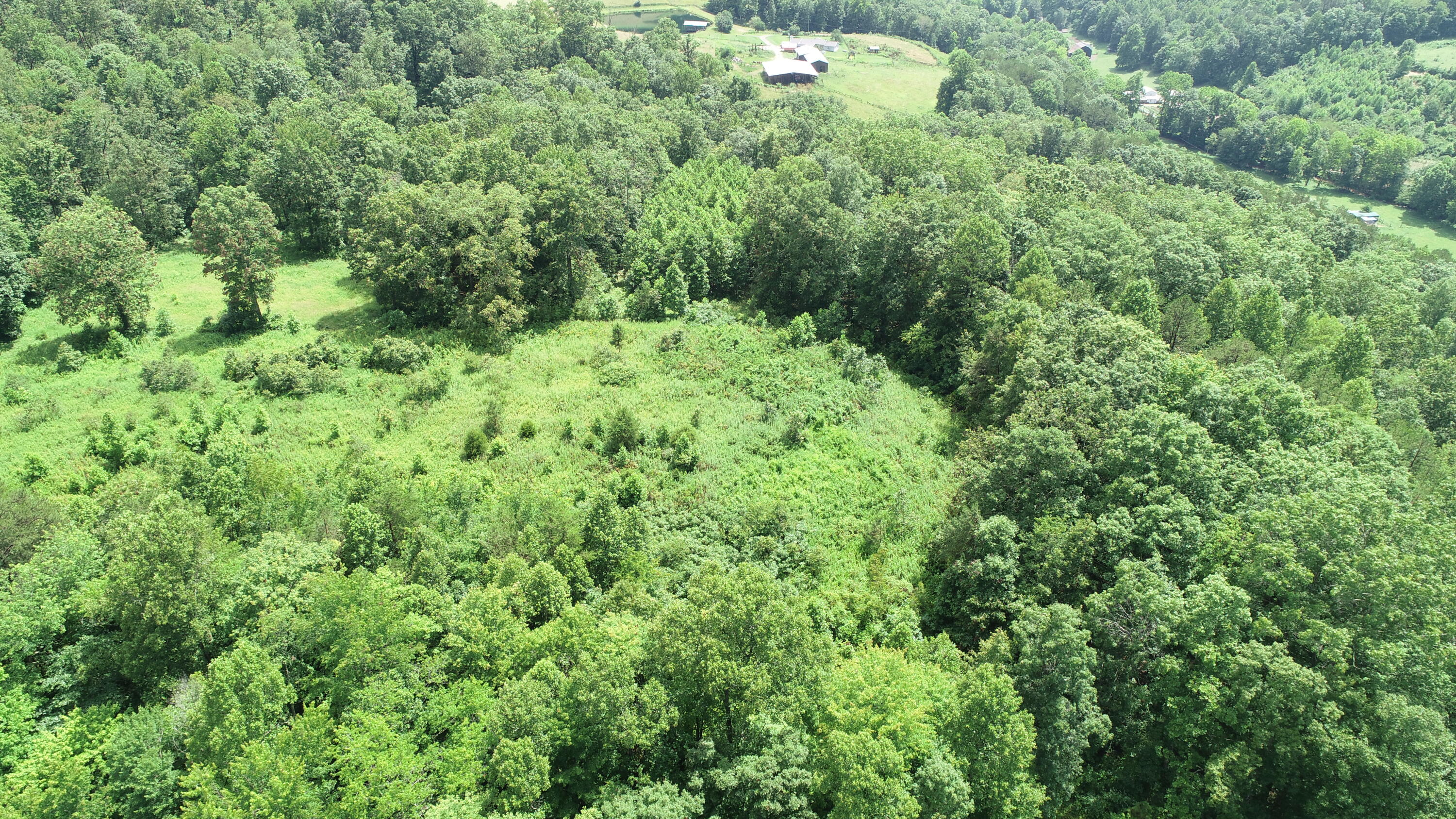 800 Pond Lick Road Annville, KY 40402 - Photo 31 of 46 DJI_0782