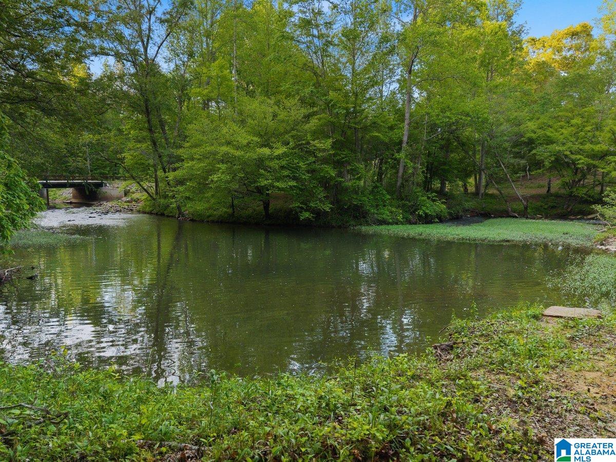44 Dorr Road Oneonta, AL 35121 - Photo 37 of 50 Gallery Image 37