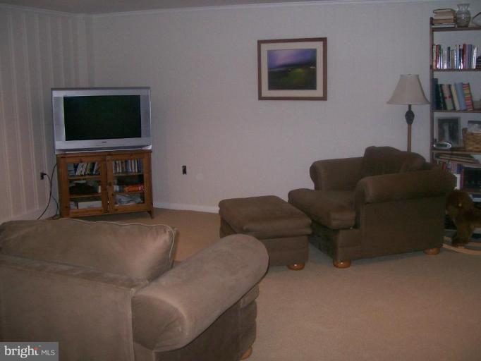 237 Stanmore Road Baltimore, MD 21212 - Photo 12 of 15 Recreation Room