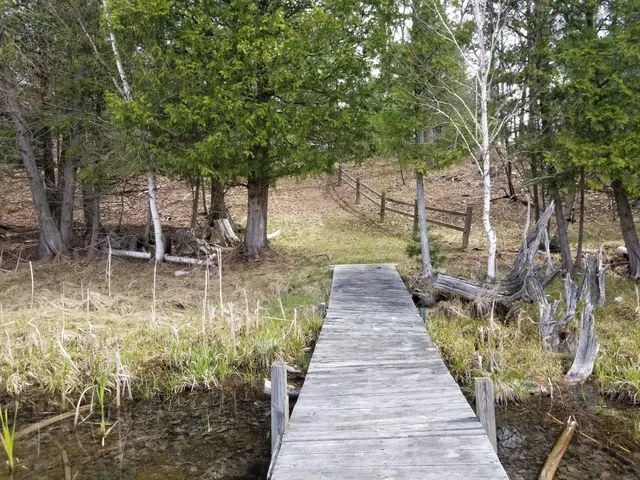 $76,500 | 15 West 12 Mile Road, Irons, MI 49644