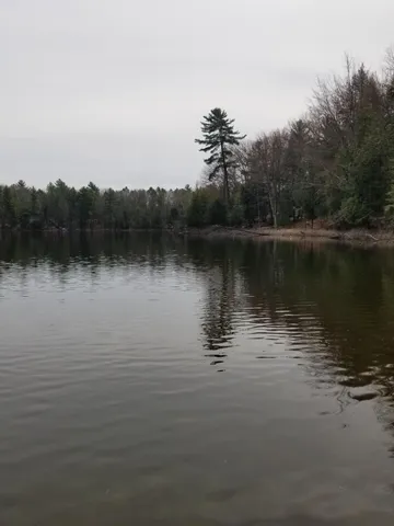 $76,500 | 15 West 12 Mile Road, Irons, MI 49644