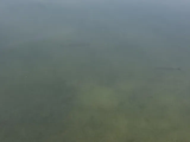 $76,500 | 15 West 12 Mile Road, Irons, MI 49644