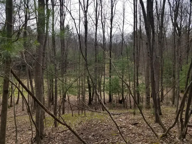 $76,500 | 15 West 12 Mile Road, Irons, MI 49644