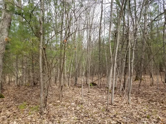 $76,500 | 15 West 12 Mile Road, Irons, MI 49644