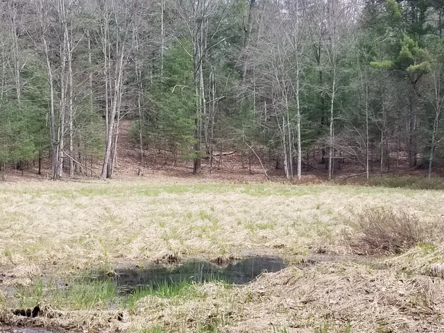 $76,500 | 15 West 12 Mile Road, Irons, MI 49644