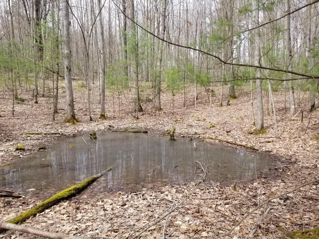 $76,500 | 15 West 12 Mile Road, Irons, MI 49644