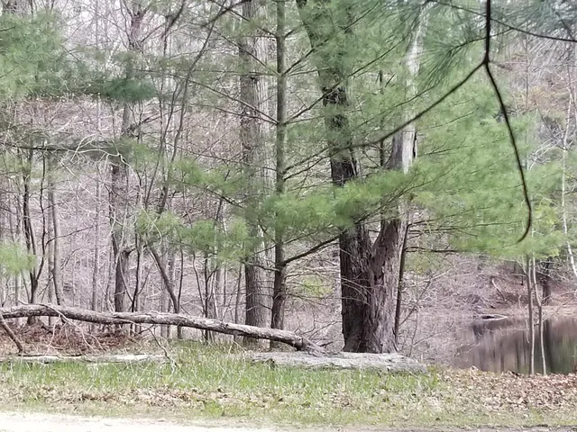 $76,500 | 15 West 12 Mile Road, Irons, MI 49644