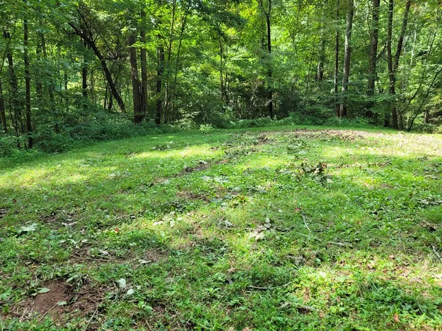 a view of outdoor space with a garden
