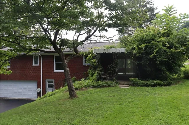 a view of a backyard with a large tree