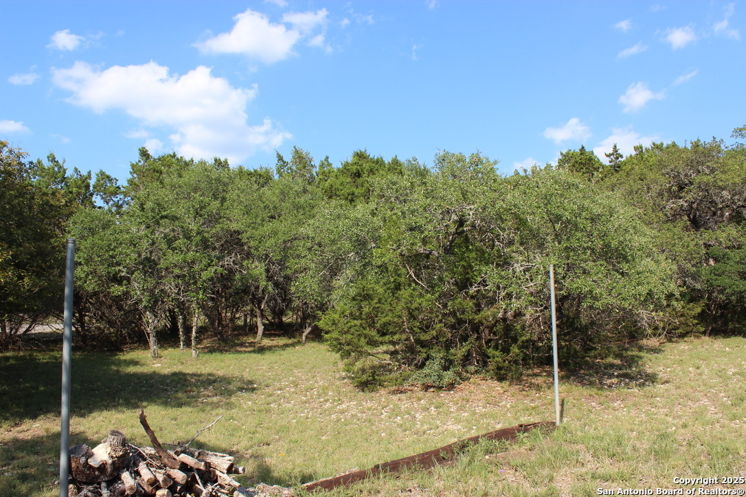 197 Rosenberry Bulverde, TX 78163 - Photo 11 of 11