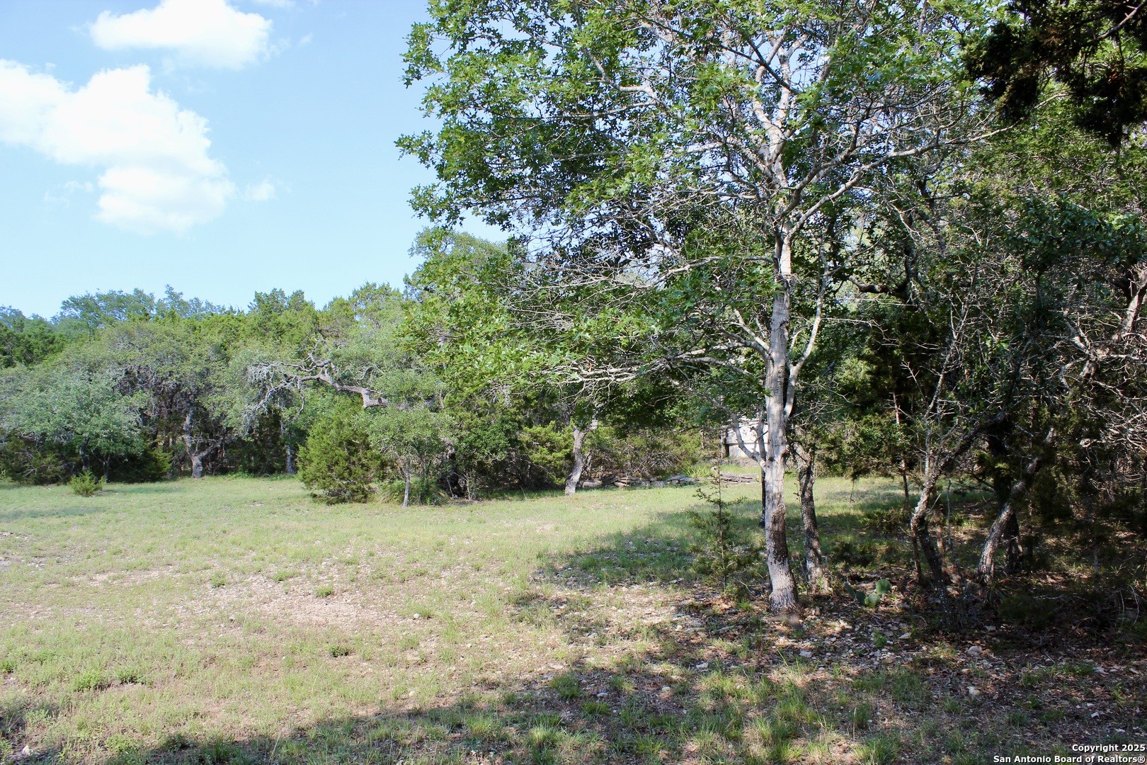 197 Rosenberry Bulverde, TX 78163 - Photo 4 of 11