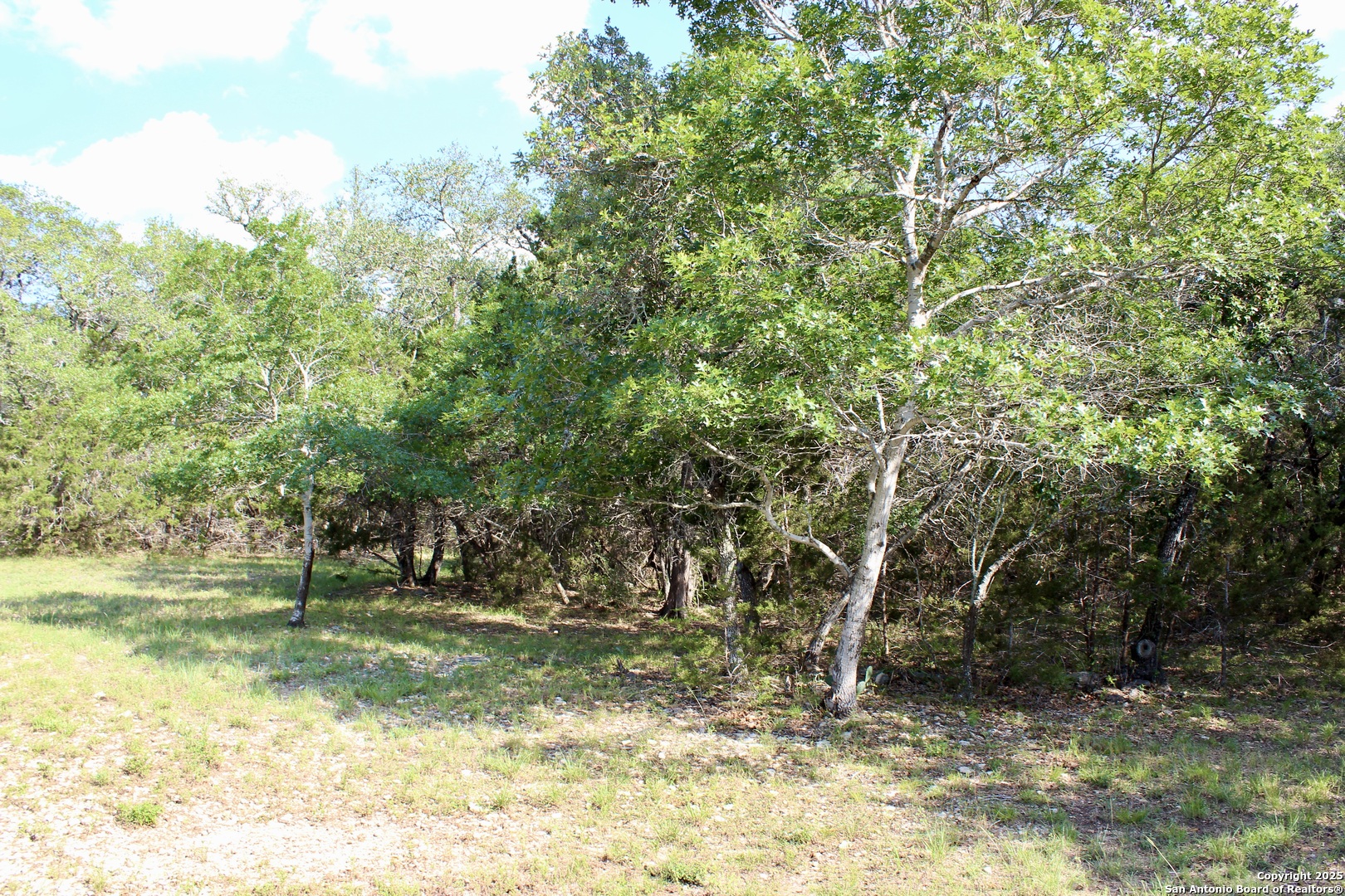 197 Rosenberry Bulverde, TX 78163 - Photo 5 of 11