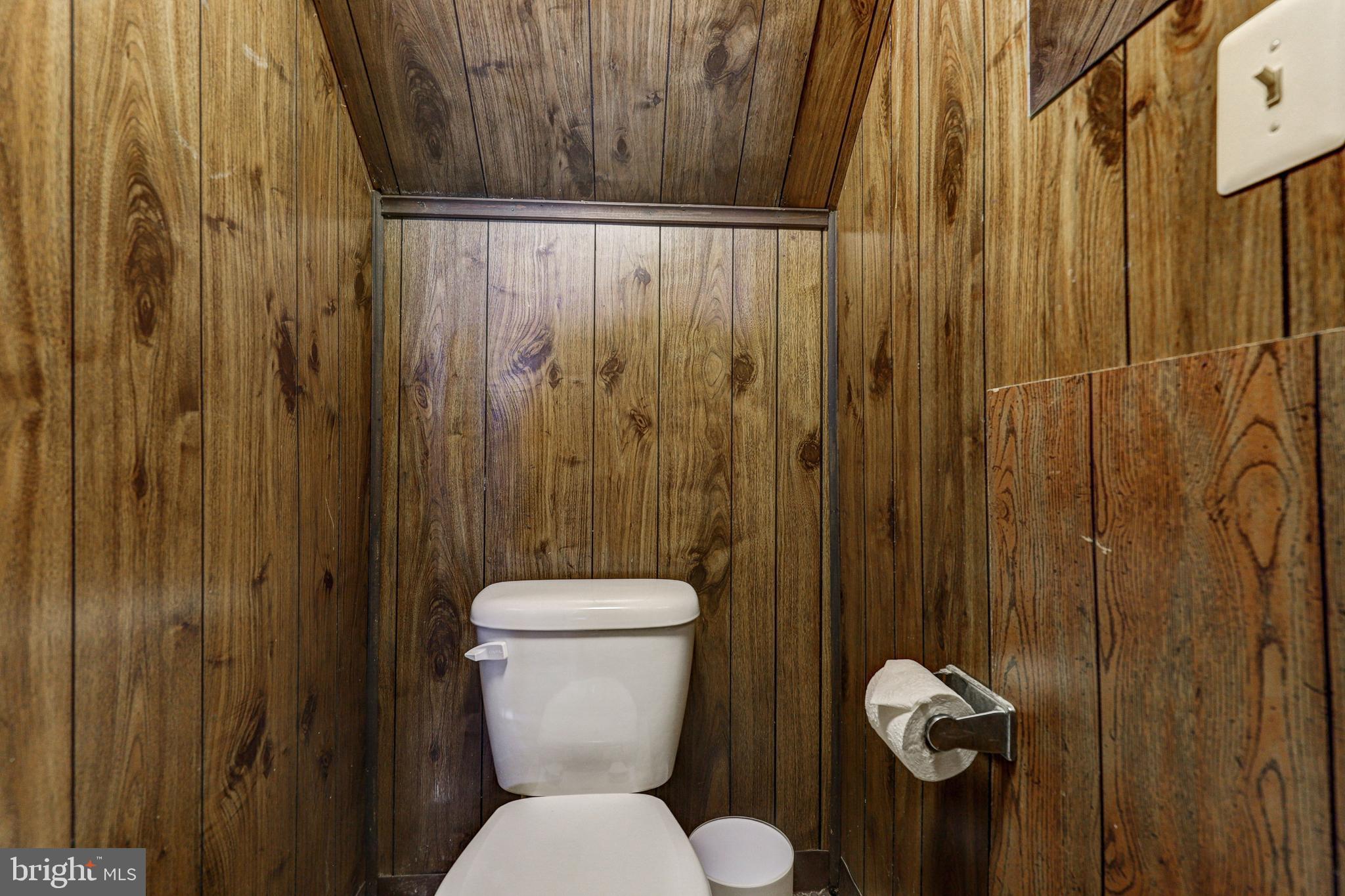 1123 Hollen Road Baltimore, MD 21239 - Photo 27 of 50 Lower Lvl Flush