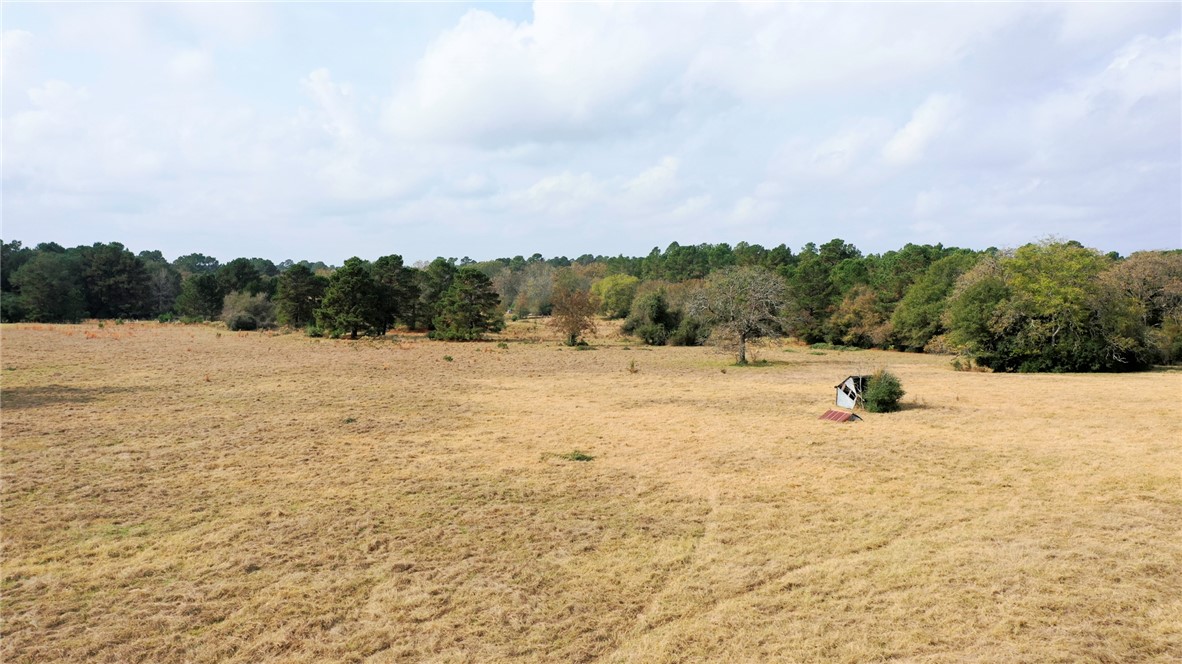 1260 Rd Centerville Tx 75833 Road Centerville, TX 75833 - Photo 11 of 26 View of undeveloped land featuring rural landscape