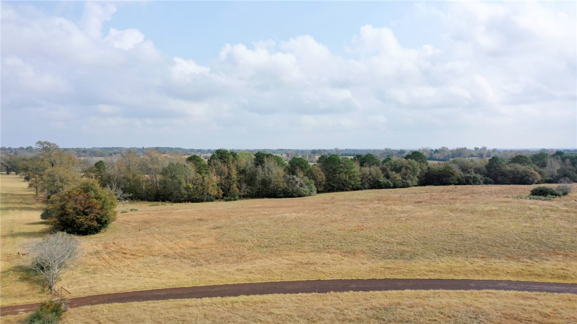 1260 Rd Centerville Tx 75833 Road Centerville, TX 75833 - Photo 19 of 26 View of undeveloped land featuring rural landscape