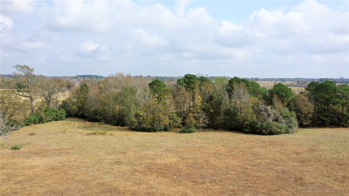 1260 Rd Centerville Tx 75833 Road Centerville, TX 75833 - Photo 20 of 26 View of local wilderness featuring rural landscape
